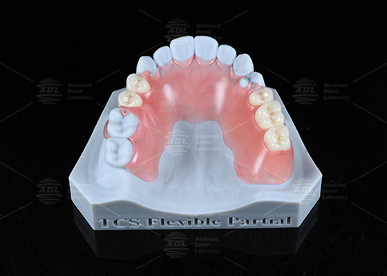 Buy TCS Flexible Partial Stain Resistant BPA Free Partial Dentures For Natural Look online manufacture