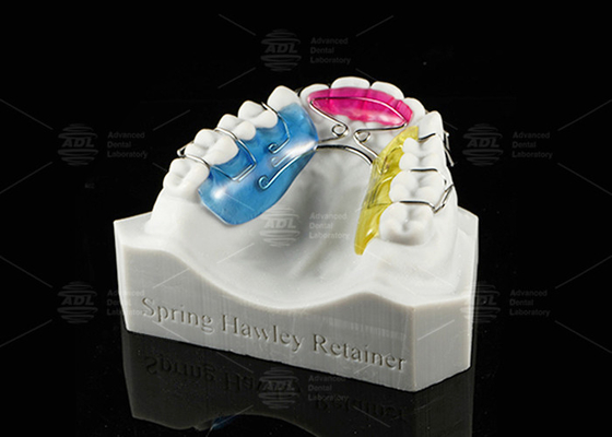 Buy Customizable Spring Hawley Retainer Removable Teeth Position Retention online manufacture